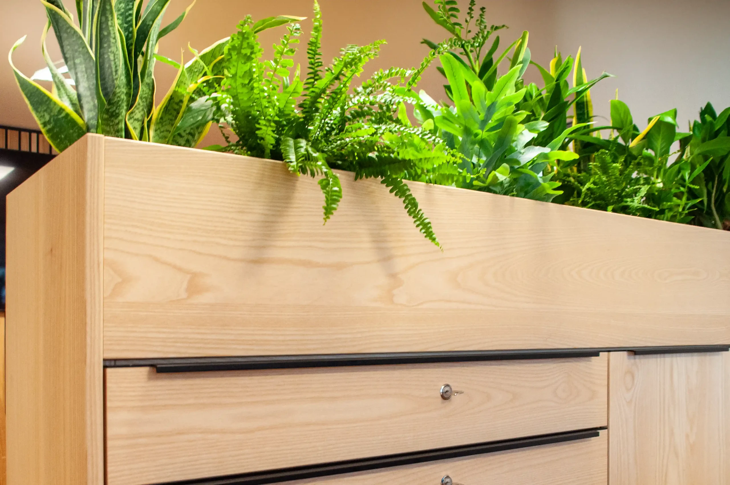 "Grüner Raumtrenner"