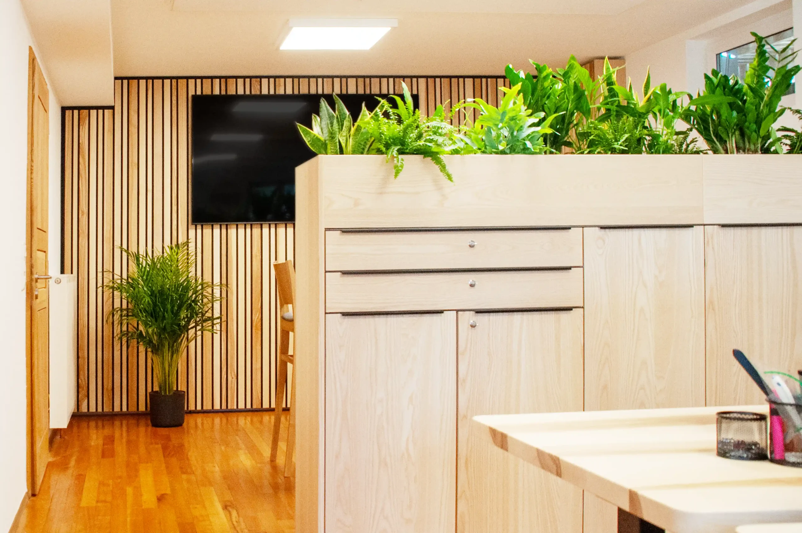 "Grüner Raumtrenner"