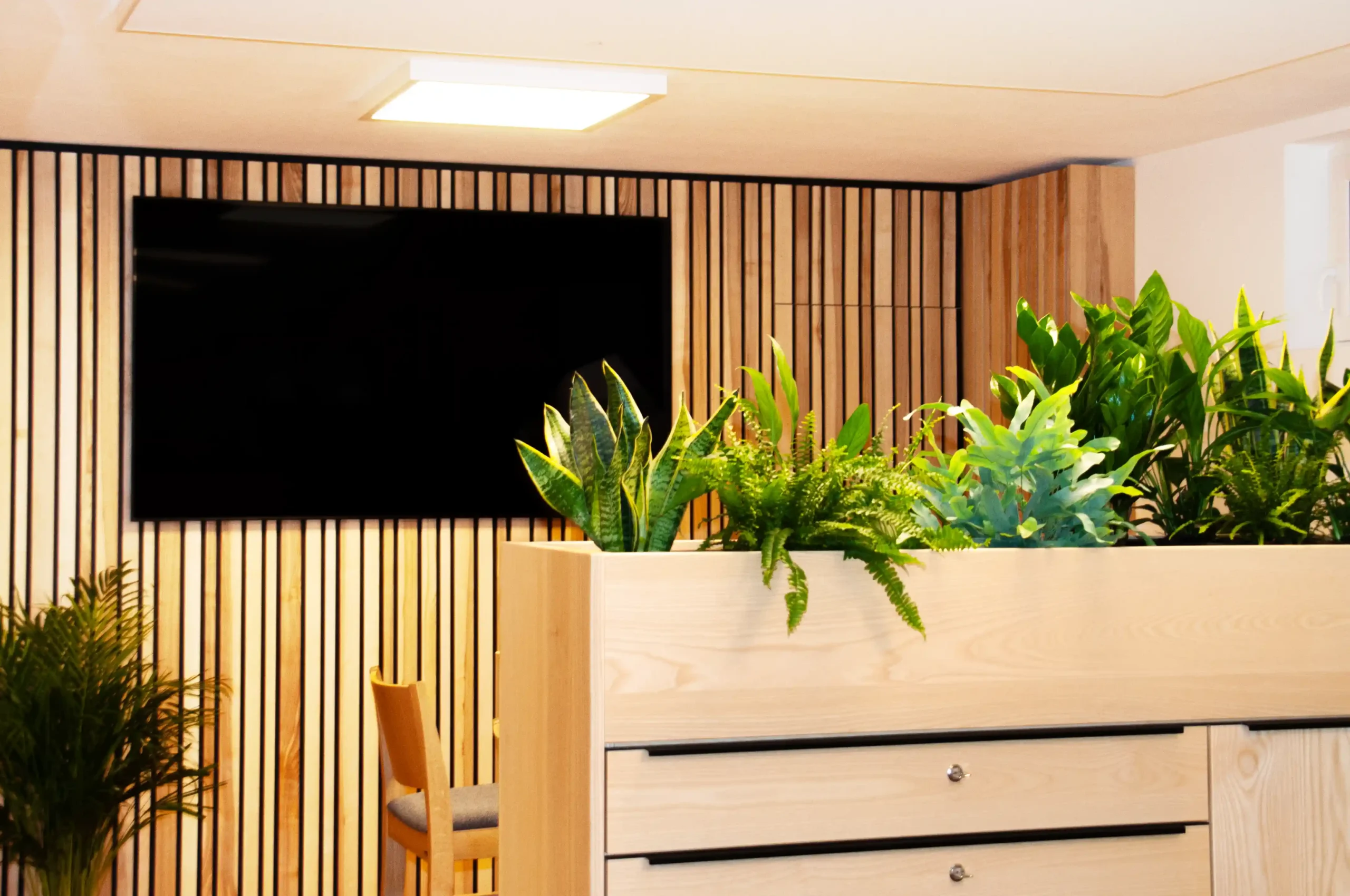 Vollholz-Büros für Untergeschoß