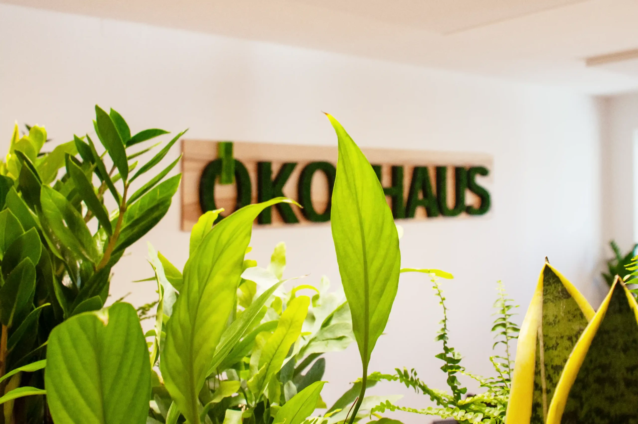 "Grüner Raumtrenner"