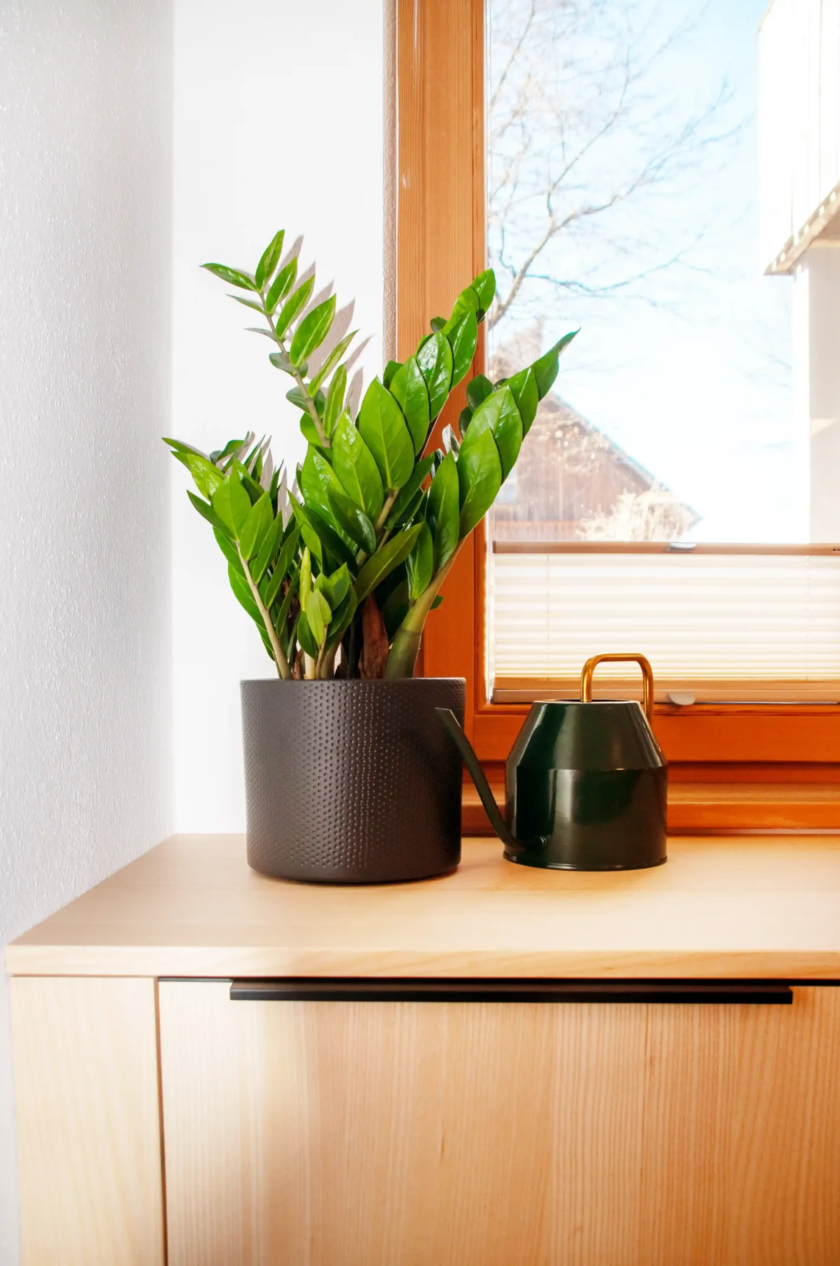 Vollholz-Büros für Untergeschoß